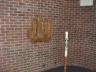 thm_PICT2231.jpg