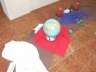 thm_KKRW07.jpg